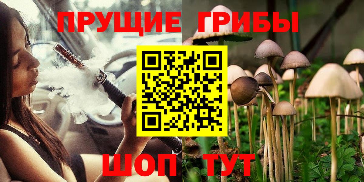 Ступино  где купить наркоту  Вход с VPN  Галлюциногенные грибы MAGIC MUSHROOMS 